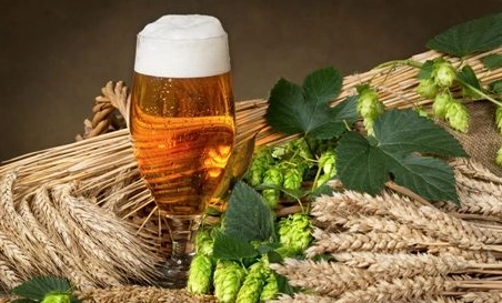 精釀啤酒中，如何選擇恰當?shù)慕湻椒ǎ?> </a>
    </dt> 
    <dd> 
     <h4><a href=